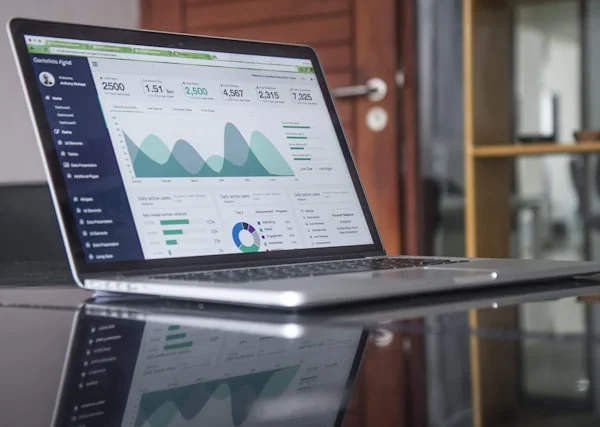 4. Build Custom Website (Shopify/Independent)